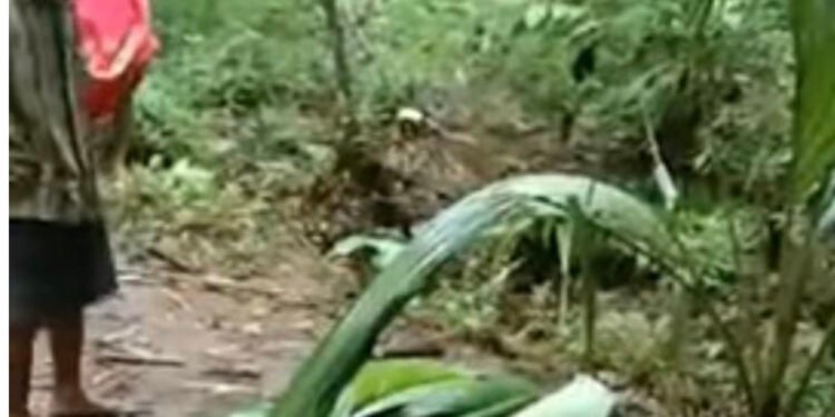 Warga Jember Heboh Dikira Boneka Ternyata Bayi